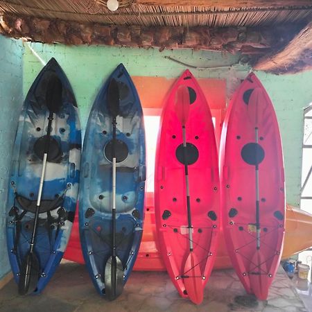 Go Inn Backpackers 阿斯旺 外观 照片